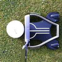 Taylormade Rossa Ghost
